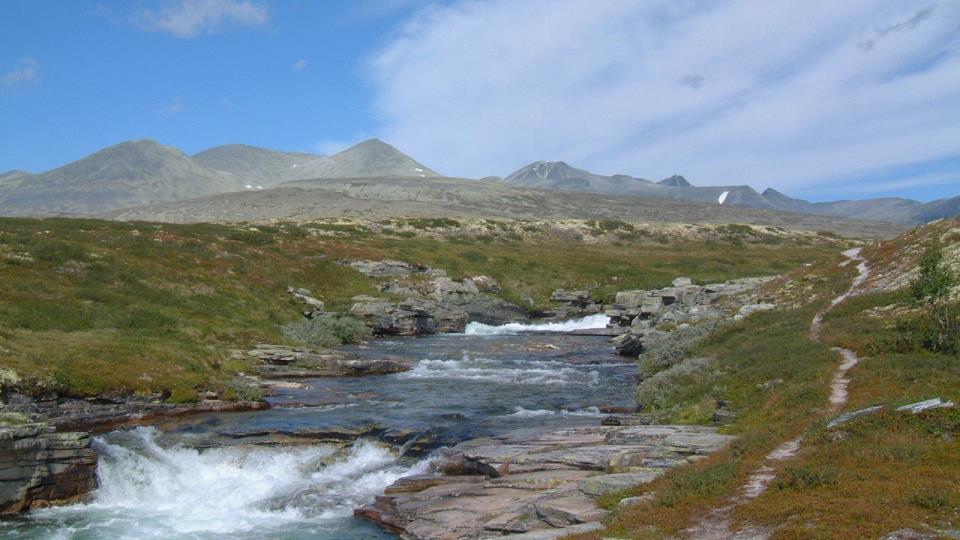 Lenke til artikkel: Turistinformasjon i Sel - vil du være med?